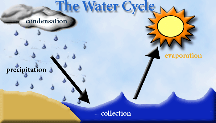 Creative Writing - The Water Cycle